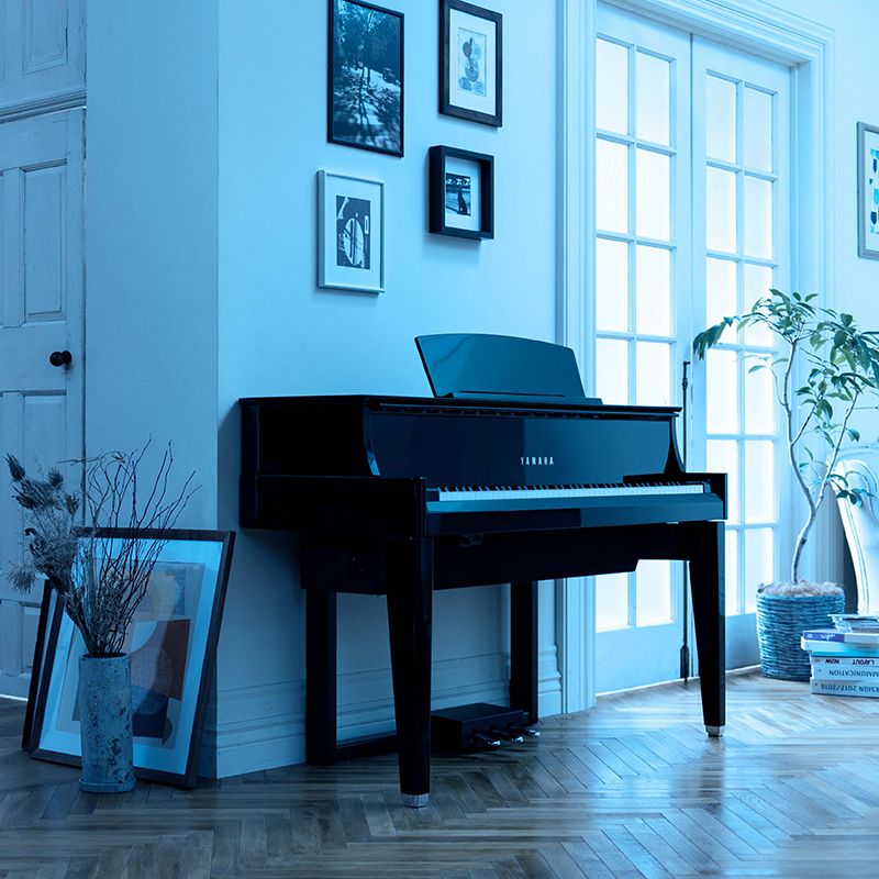 N1X - Informacje o produkcie - AvantGrand - Pianina i