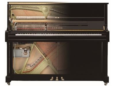 Hybrydowy system fortepianowy TransAcoustic TA2
