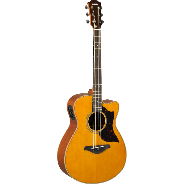 AC1M Vintage Natural Left Front