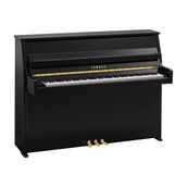 Obraz produktu B10