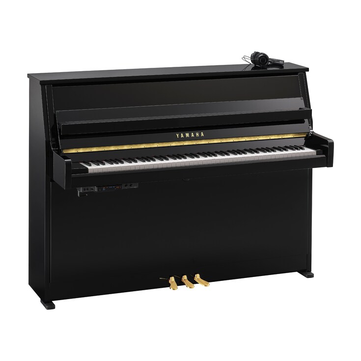 Obraz produktu B10SC3 (heban połysk)