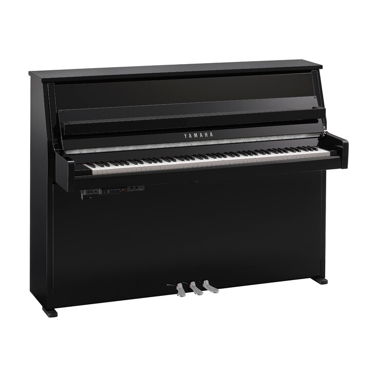 Obraz produktu B10TC3 (heban połysk chromowany)