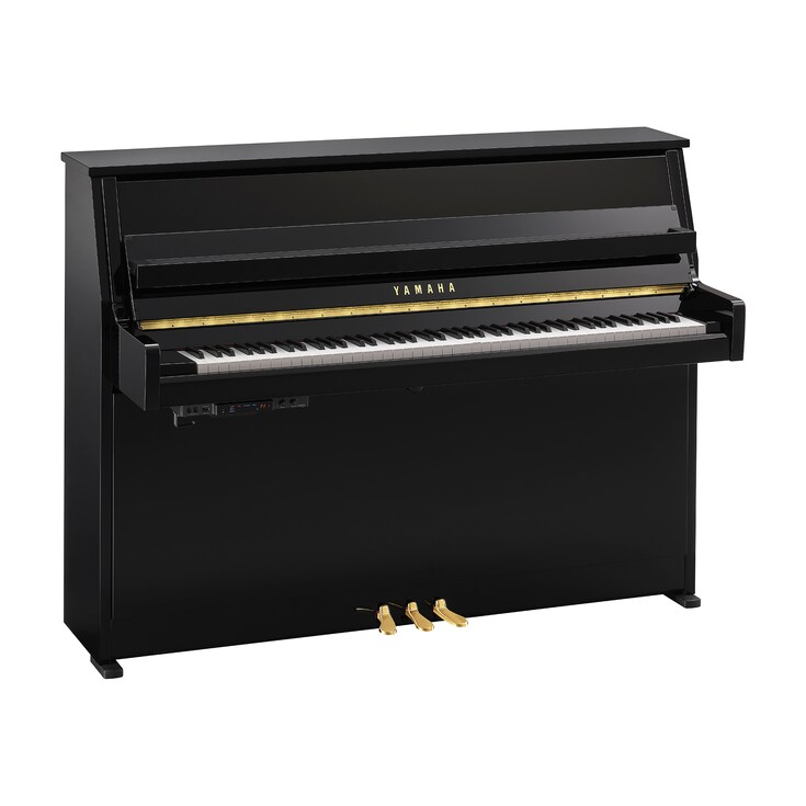 Obraz produktu B10TC3 (heban połysk)