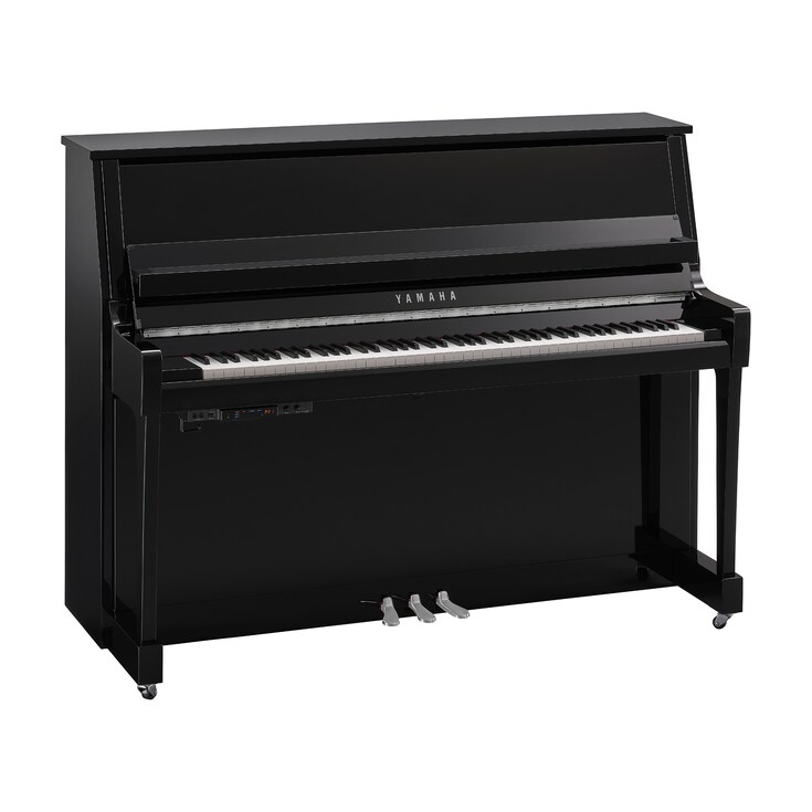 Obraz produktu B20TC3 (heban połysk chromowany)
