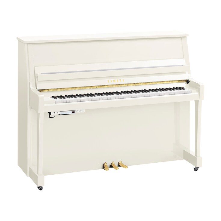 Obraz produktu B20TC3 (biały połysk)