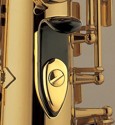 Obraz wyróżniający