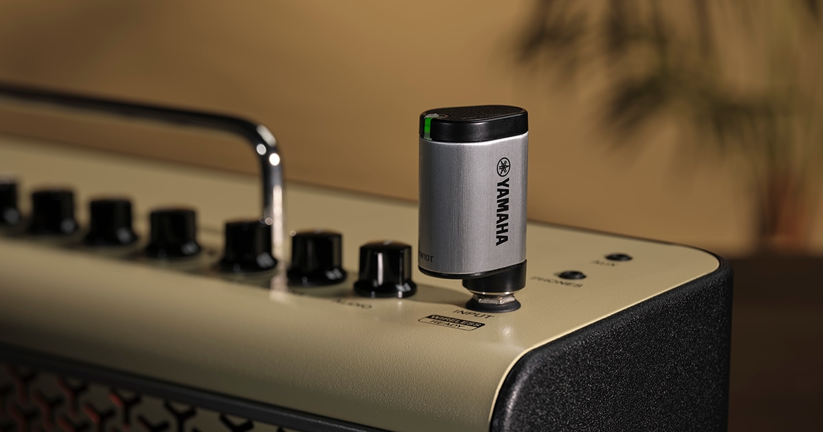 YW10T - Informacje o produkcie - Amps & Accessories - Gitary