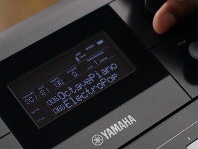 PSR-E483, Obraz wyróżniający centralny ekran