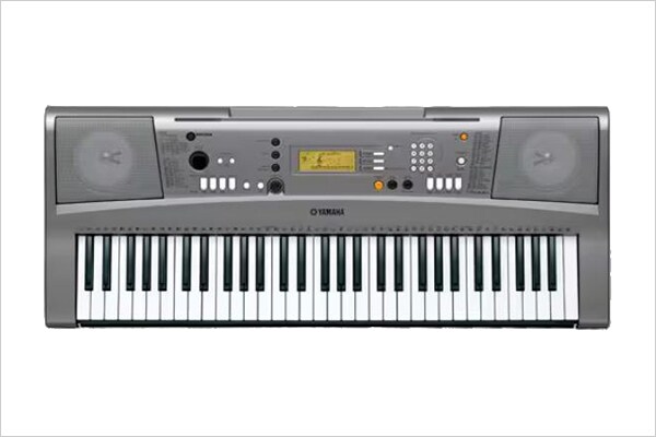 PSR-VN300