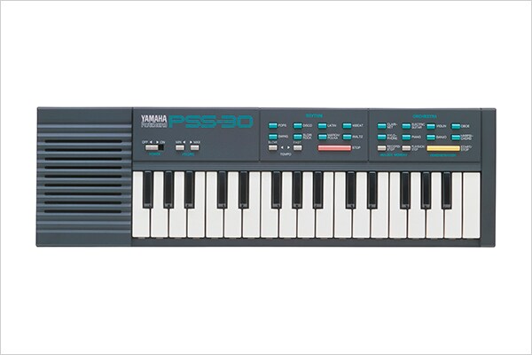 PSS-30