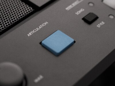 PSR-E483, Obraz wyróżniający przycisk ARTICULATION