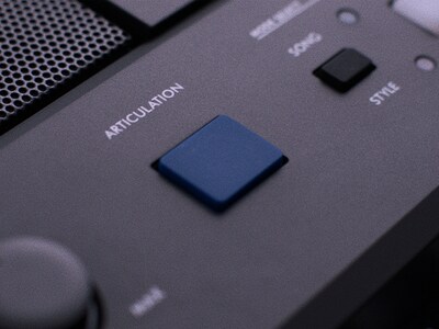 PSR-E583, Obraz wyróżniający przycisk ARTICULATION