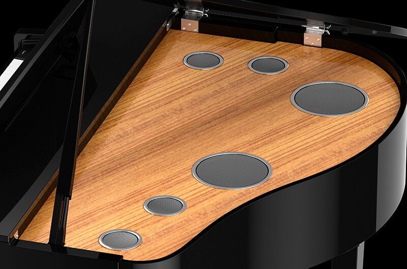 3-WAY SPEAKERS WITH BI-DIRECTIONAL HORNS GRAND ACOUSTIC IMAGING