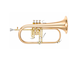 Bell: Gold brass, Finish: Clear lacquer