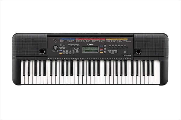 PSR-E263